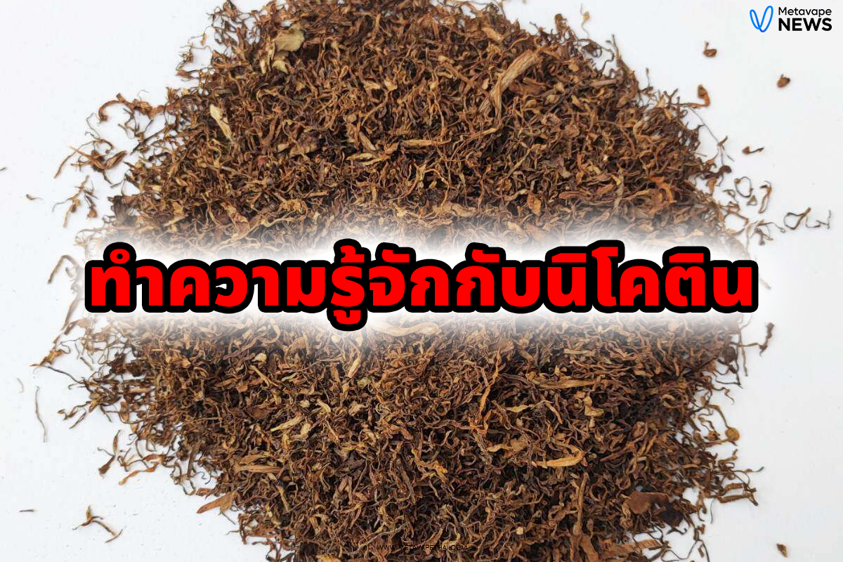 ทำความรู้จักกับนิโคติน