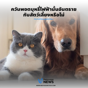 ควันพอตบุหรี่ไฟฟ้านั้นอันตรายกับสัตว์เลี้ยงหรือไม่